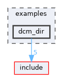 examples/dcm_dir